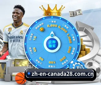 加拿大28 APP 深度功能（CANADA28）